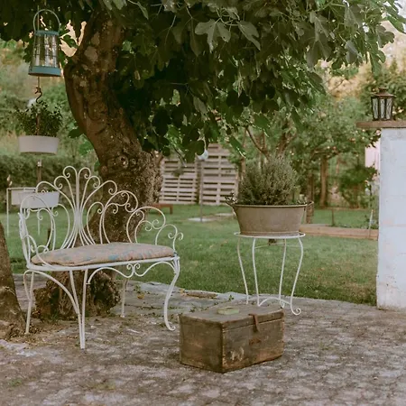 Atris Проживание в семье