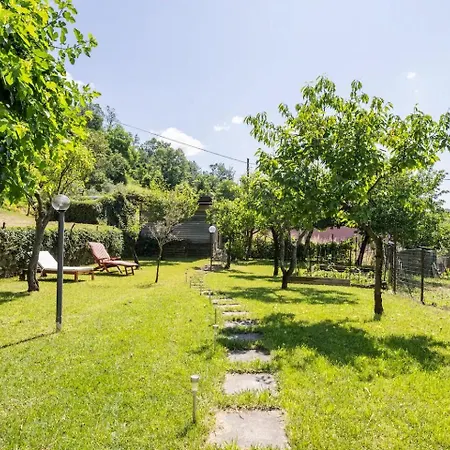 Проживание в семье Atris *