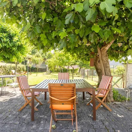 Atris Проживание в семье Боргетто-ди-Вара