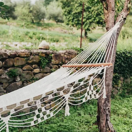 Atris Homestay szállás